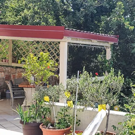 Appartement Vlasta-1 By Interhome Jadranovo